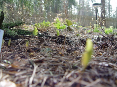 DSC000010.jpg
