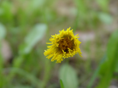 DSC000024.jpg