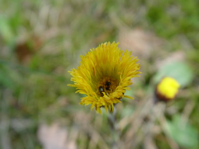 DSC0000022.jpg