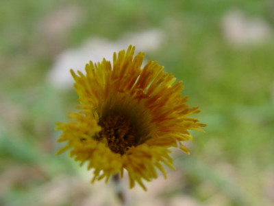 DSC000023.jpg