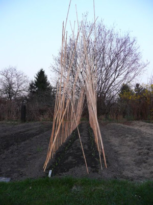 tg_120327_2.jpg