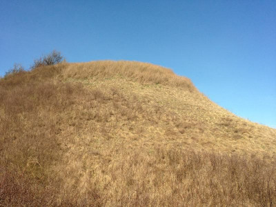 adonishang_lebus2012_zg1.jpg