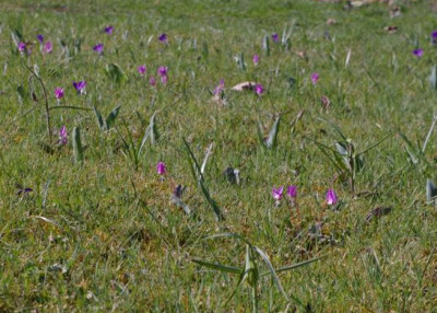 K800_20120328_13.JPG