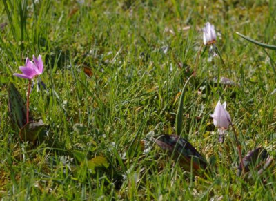K800_20120328_4.JPG