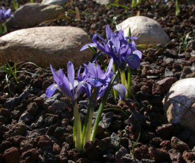 K800_20120328_3.JPG