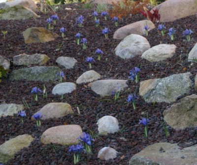 K800_20120328_2.JPG