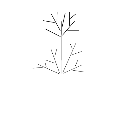 fp.png