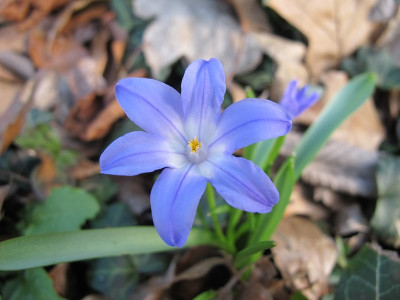 Unbekannte__1.4.12.jpg