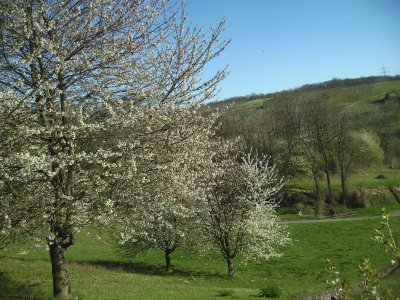 BILD0030.JPG