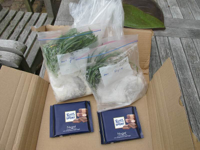 2012_Winsen.jpg