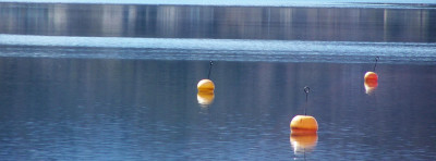 100_6163.jpg