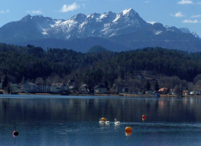 100_6157.jpg