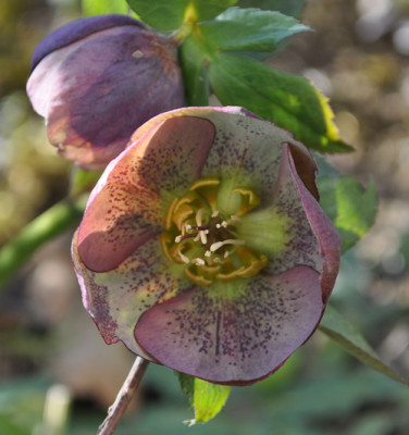 F_112__3376.jpg