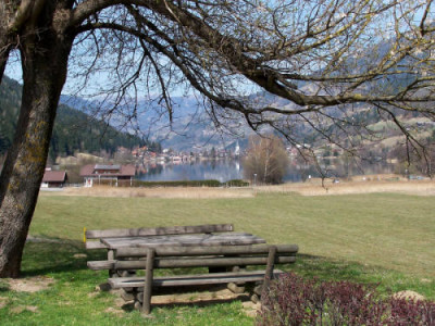 100_6691.jpg