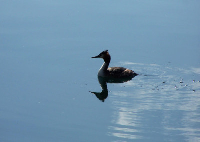 100_6770.jpg