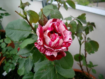 22.05.05.jpg