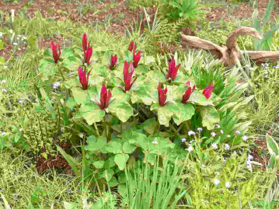 2._Mai_2010_-_kl.jpg