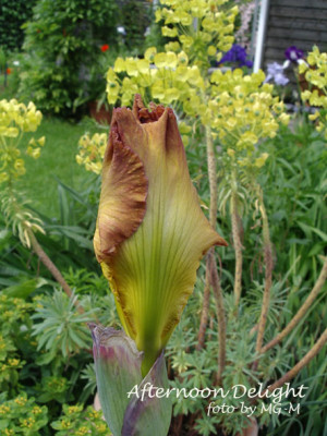 Imgp9447-AftDel.jpg