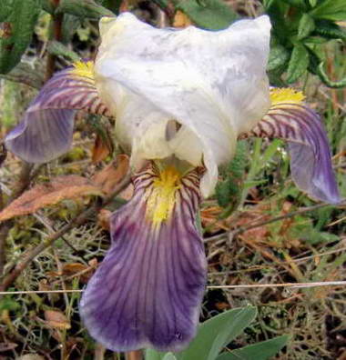 CIMG3439_.jpg