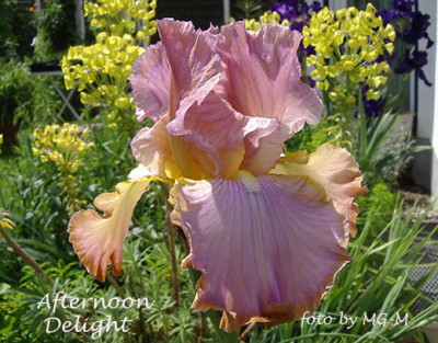 Imgp9610-AftDel.jpg