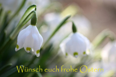 Frohe-Ostern.jpg