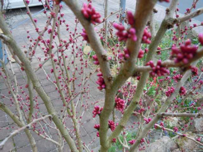 060412_029.JPG