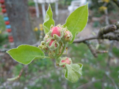 060412_006.JPG
