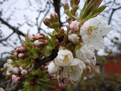 060412_008.JPG