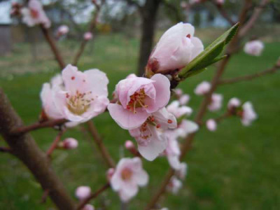 060412_007.JPG