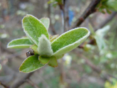 060412_010.JPG