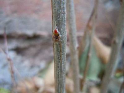060412_033.JPG