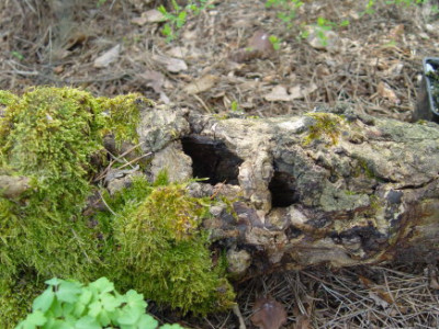 DSC00027.jpg
