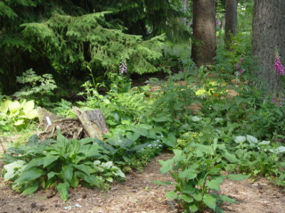 DSC00051.jpg