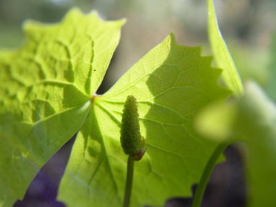 DSC021.jpg