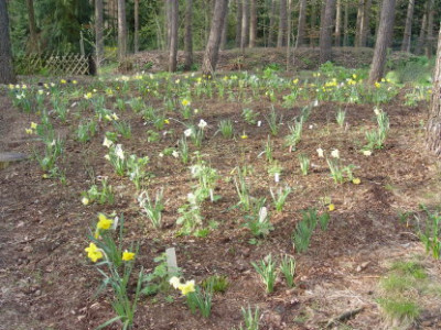 DSC011.jpg