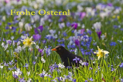 Frohe-Ostern-2012_min.jpg