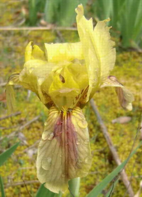 CIMG3524_.jpg