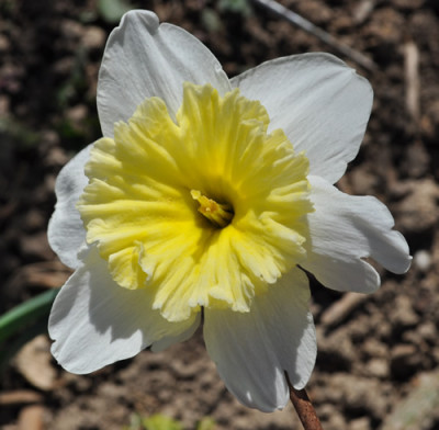 N_Mount_Hood_2_12_3419.jpg