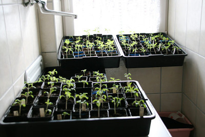 April0112.jpg