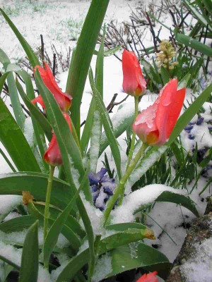 frohe_Ostern_2012.jpg