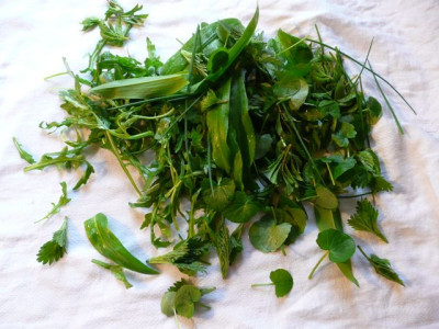 ernte_120406.jpg
