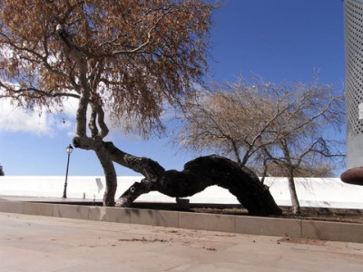 R0011298.JPG