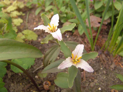 DSC02636-kl.jpg