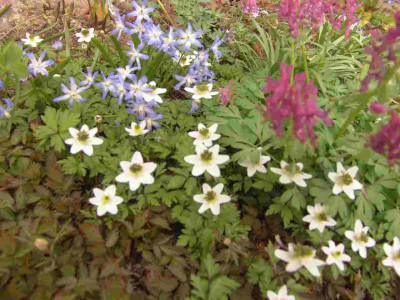 DSC02638-kl.jpg