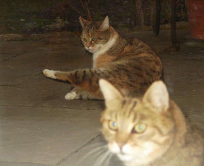 DSC08644.jpg