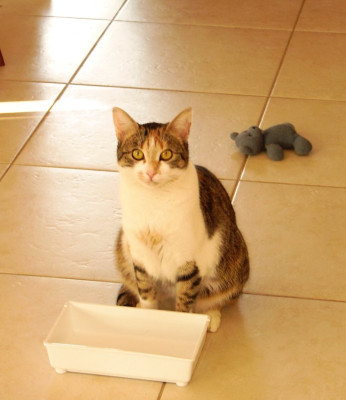 DSC08664.jpg