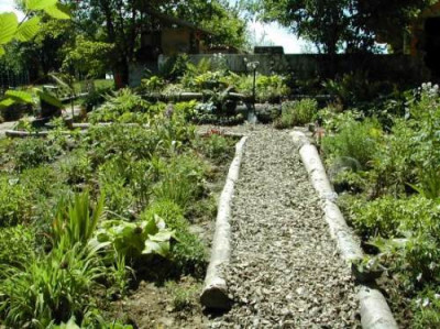 neuer_garten_gesamt.jpg