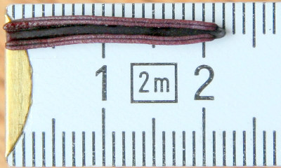 AnthereIMG_8600.jpg.jpg