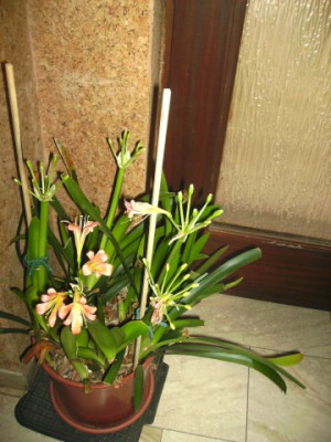 BILD0023.JPG