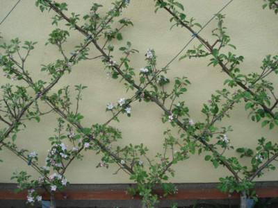 DSC01039.JPG